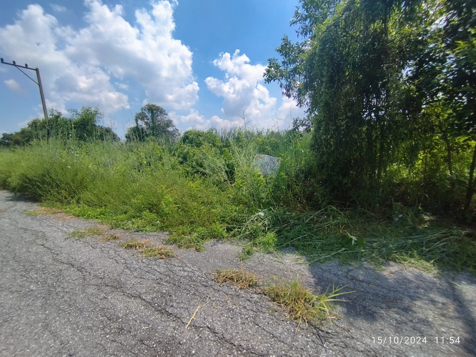 ที่ดินเปล่า เลียบคลอง 13 ฝั่งตะวันตก เนื้อที่ 0-1-02 ไร่