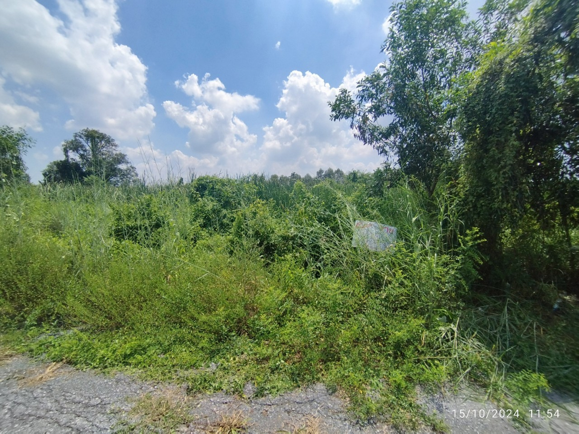 ที่ดินเปล่า เลียบคลอง 13 ฝั่งตะวันตก เนื้อที่ 0-1-02 ไร่