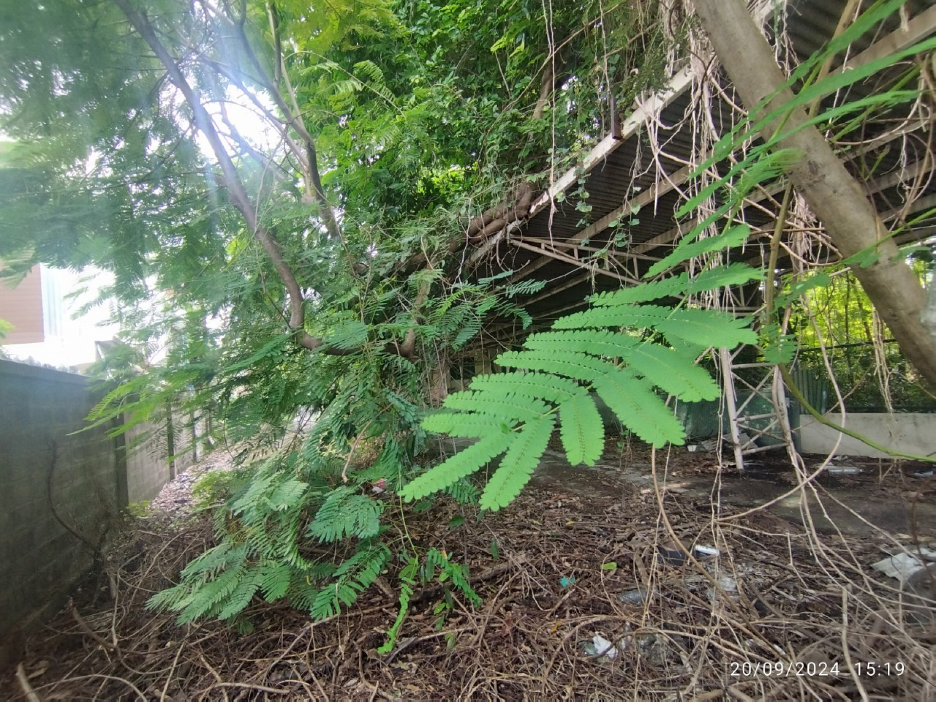 ที่ดินพร้อมสิ่งปลูกสร้าง ซอยปรีดีพนมยงค์ 14 พระโขนงเหนือ  จ.กรุงเทพฯ   146 ตารางวา