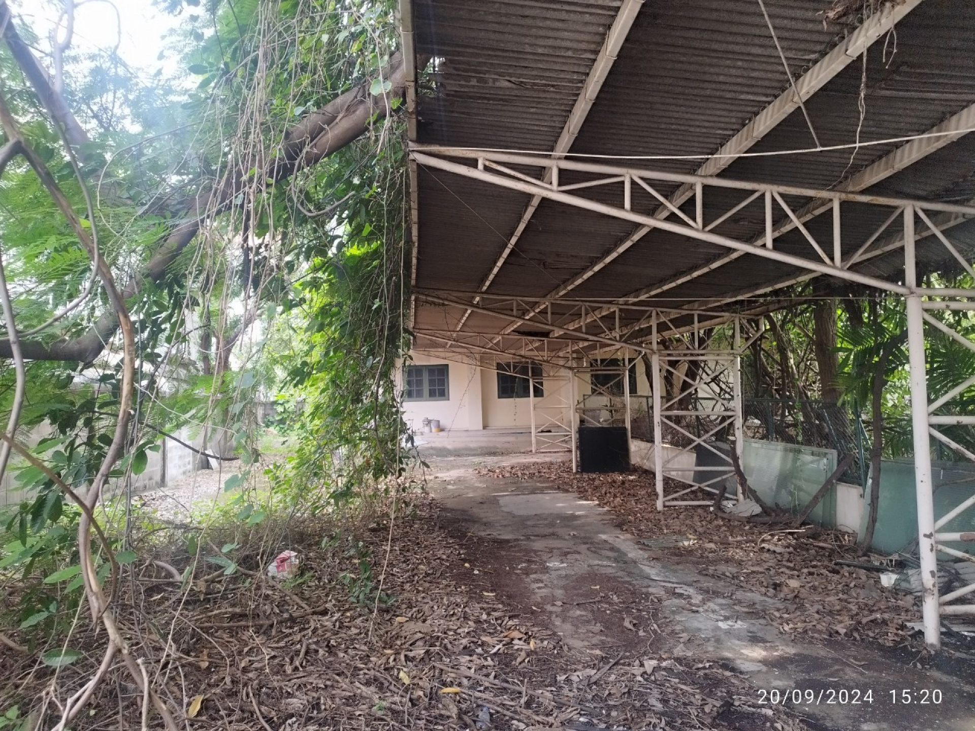 ที่ดินพร้อมสิ่งปลูกสร้าง ซอยปรีดีพนมยงค์ 14 พระโขนงเหนือ  จ.กรุงเทพฯ   146 ตารางวา