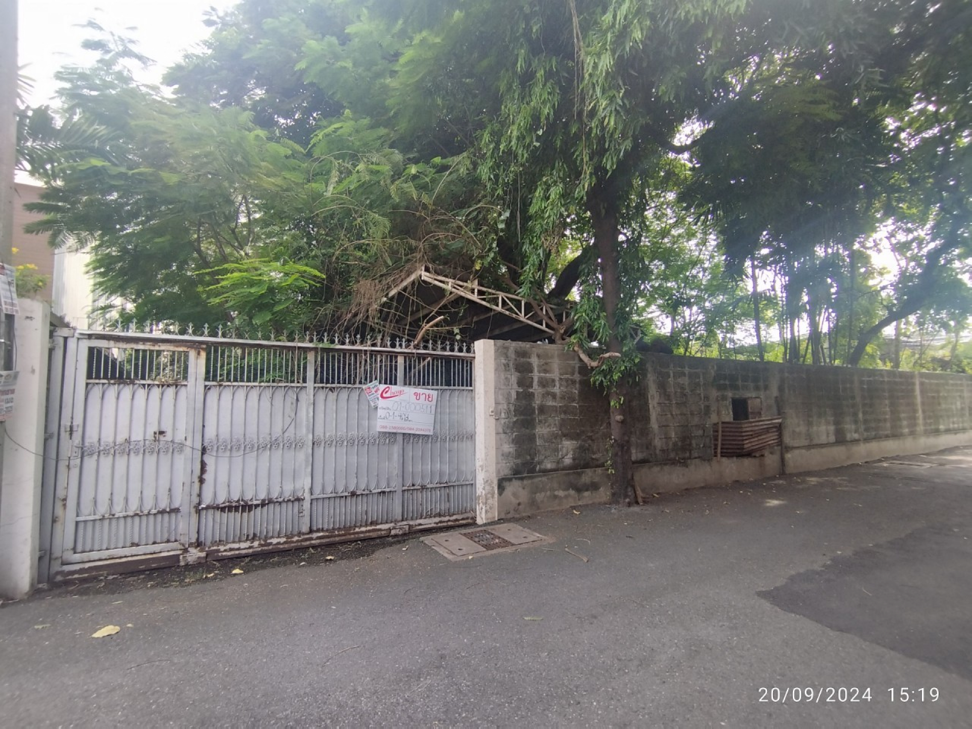 ที่ดินพร้อมสิ่งปลูกสร้าง ซอยปรีดีพนมยงค์ 14 พระโขนงเหนือ  จ.กรุงเทพฯ   146 ตารางวา