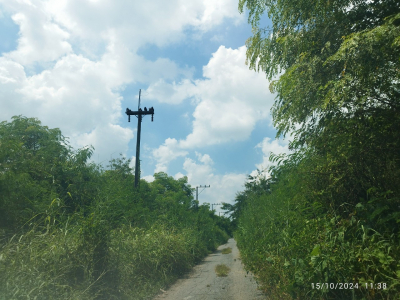 ที่ดินเปล่า เลียบคลอง 13 ฝั่งตะวันตก เนื้อที่ 0-1-02 ไร่