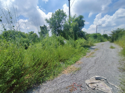 ที่ดินเปล่า เลียบคลอง 13 ฝั่งตะวันตก เนื้อที่ 0-1-02 ไร่