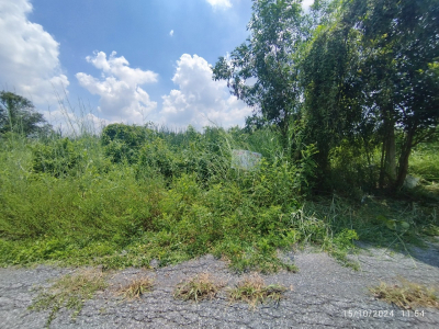 ที่ดินเปล่า เลียบคลอง 13 ฝั่งตะวันตก เนื้อที่ 0-1-02 ไร่